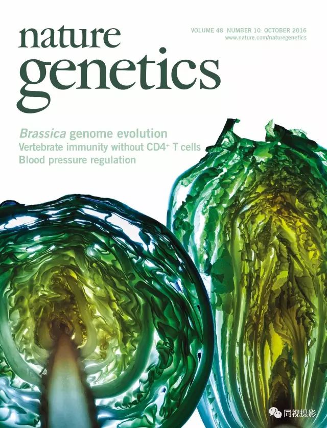 柔光自拍照亮你的美