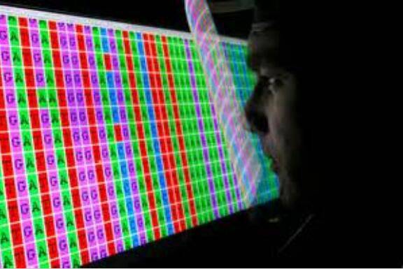 基因课生物信息快速入门班第十三期|转录组与表达数据挖掘专题