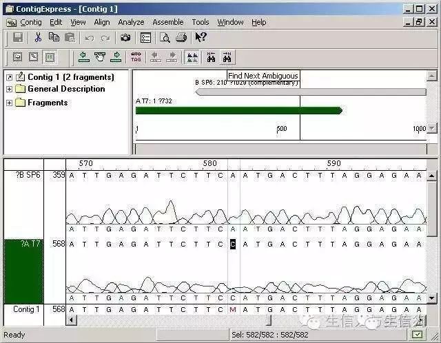 一代序列拼接利器