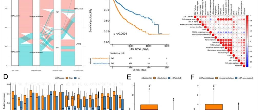 5+纯生信多组学铁死亡score，仅剩3席，联系有惊喜