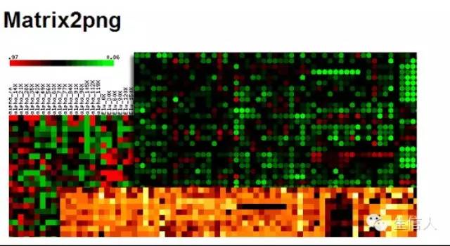一个在线绘制热图的工具