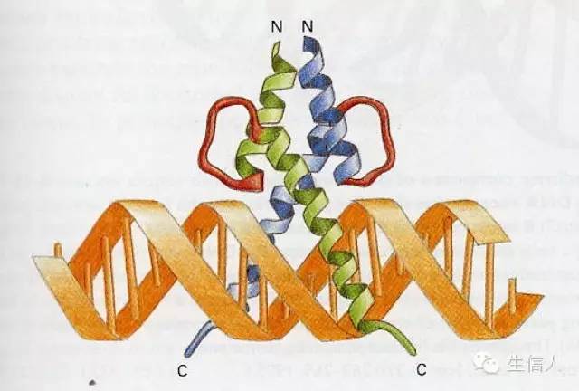 启动子及转录因子结合位点数据库及预测工具