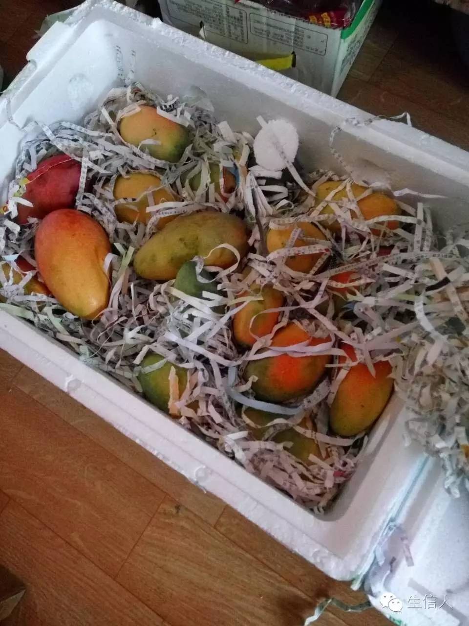 非常芒：福利大放送