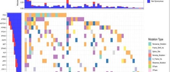 刻画非小细胞肺癌中的驱动基因突变
