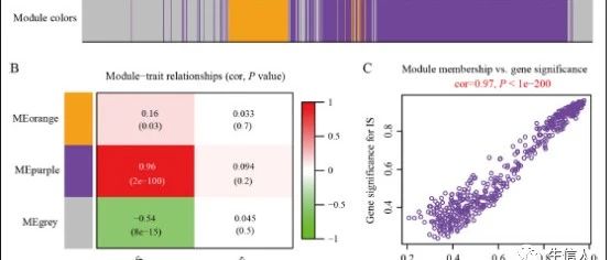 从前，研究免疫lncRNA好难