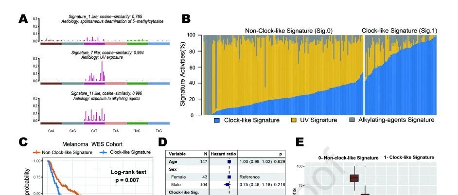 Molecular Therapy Nucleic Acids 7+|时钟突变signature
