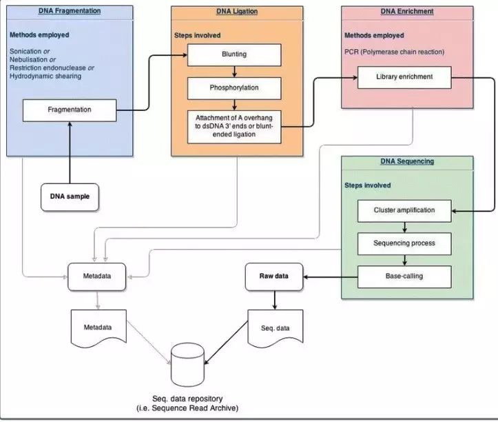 【多图预警】NCBI SRA数据库使用详解