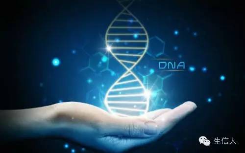 Nature：或是古病毒基因决定了性别，别再怪Y染色体了