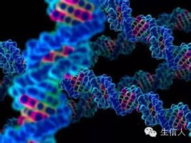 3D基因组之Hi-C简介（一）