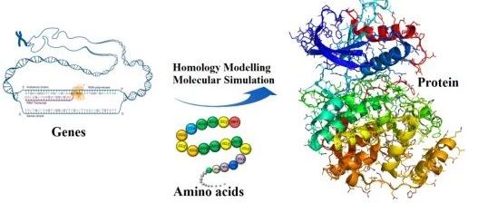 差异表达+突变分析（分子对接）思路介绍