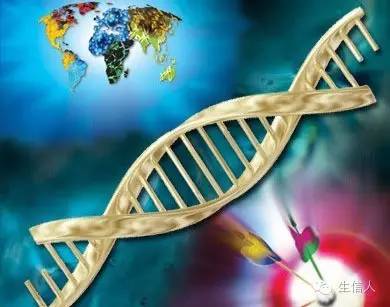 功能基因组介绍