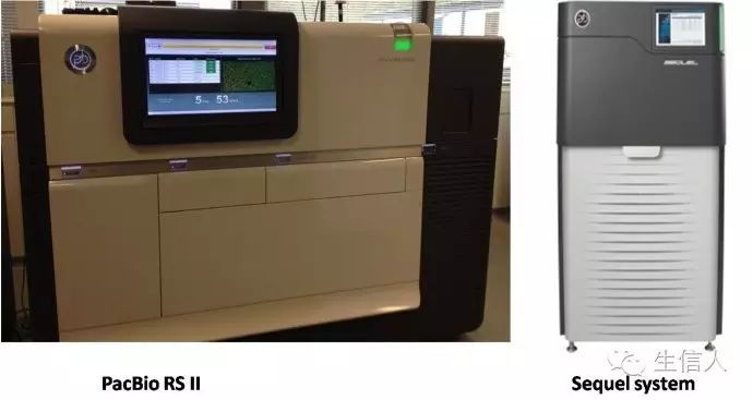 PacBio测序技术简介