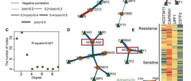 7+多组学预测药物敏感性lncRNA