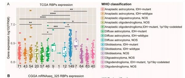 Cancers|肿瘤RBP预后分析方案