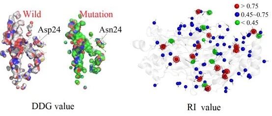 差异表达+突变分析（分子对接）思路介绍