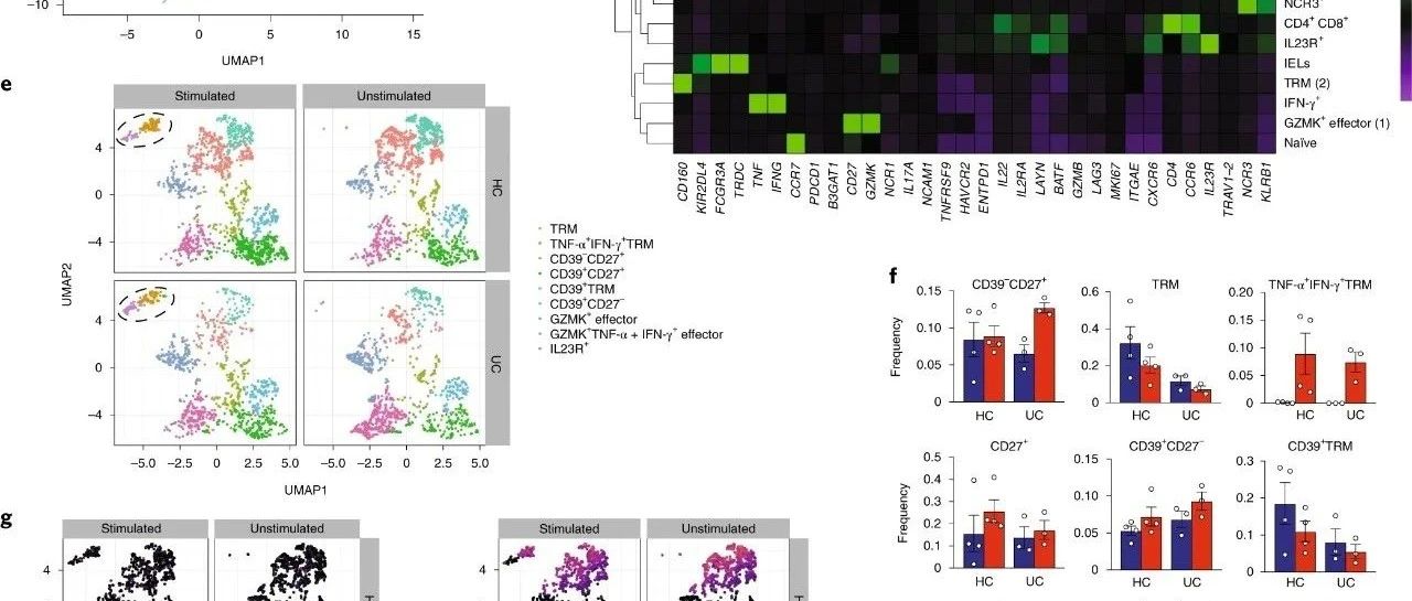 Nature|溃疡性结肠炎中结肠CD8 + T细胞单细胞图谱