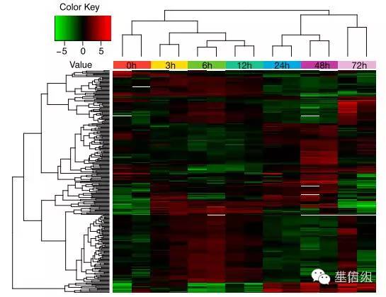 基因家族分析套路（四）