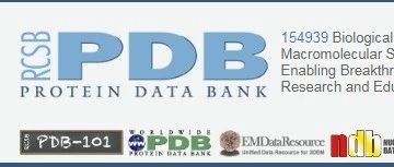 结构生物信息学之解析PDB文件