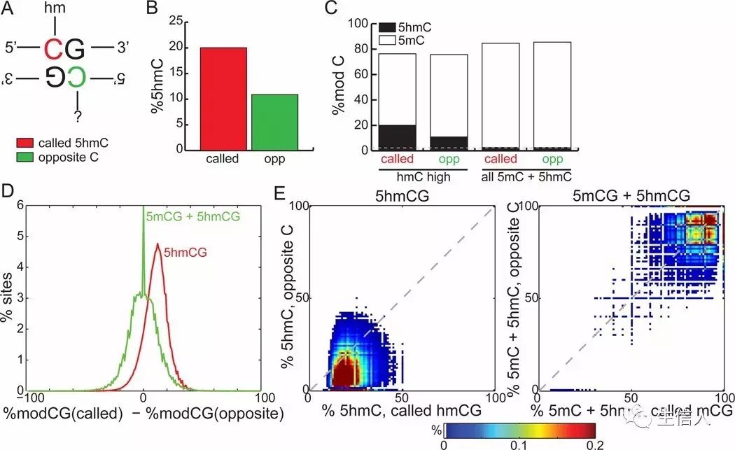 DNA甲基化测序方法介绍