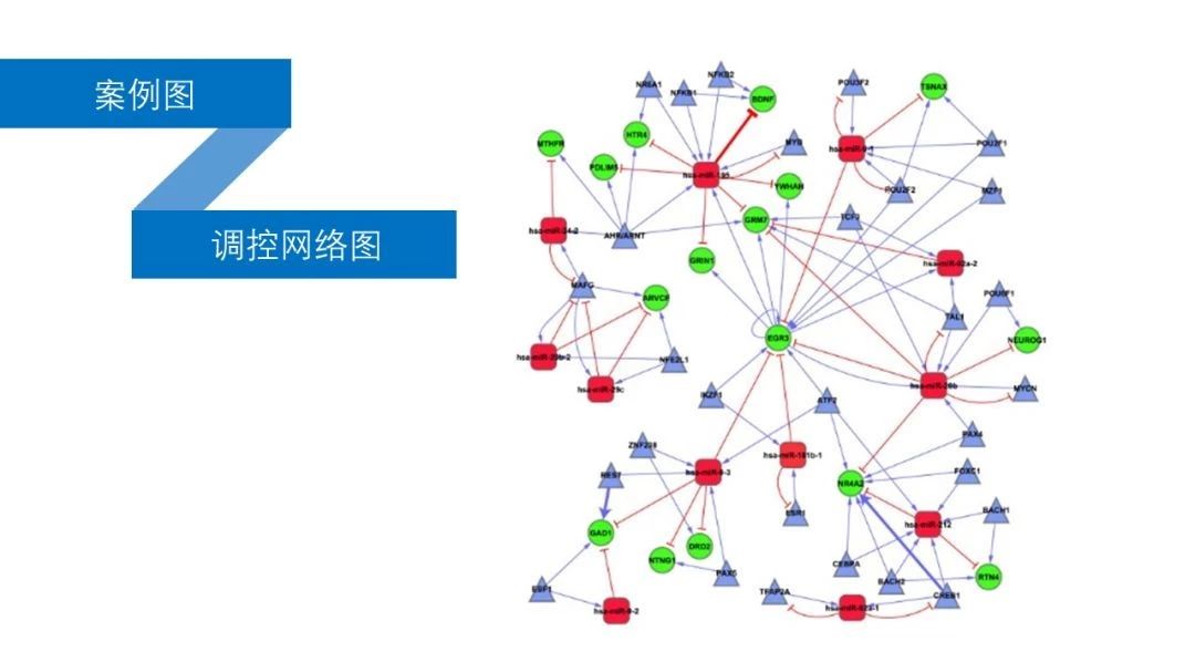 芯片及测序高通量数据关键靶标基因筛选分析学习班