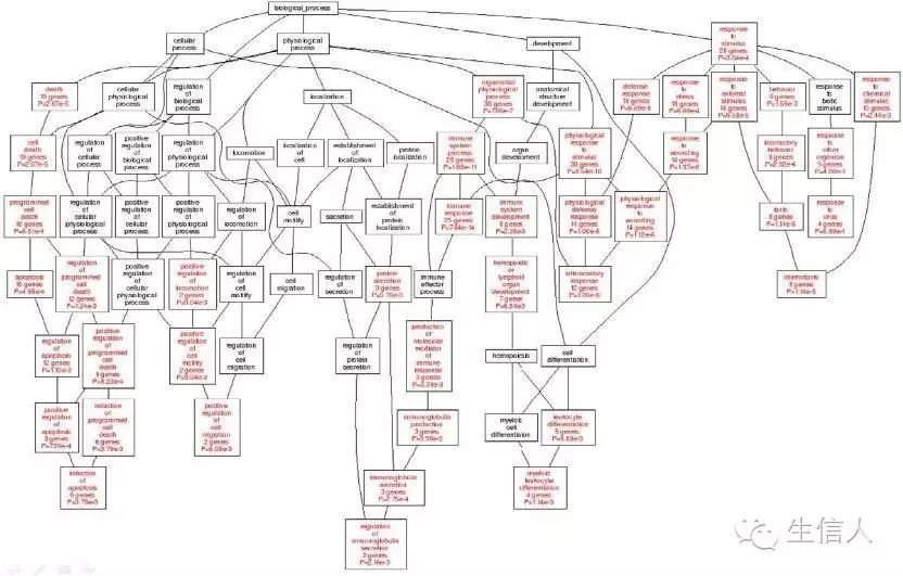 KEGG与GO注释与富集分析解析