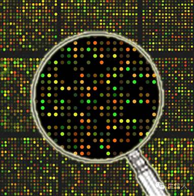 简单七步教你处理芯片原始数据