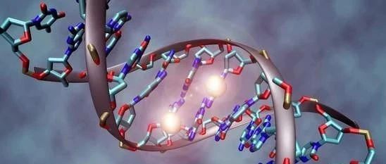 EBioMedicine 5+|单基因突变新思路1