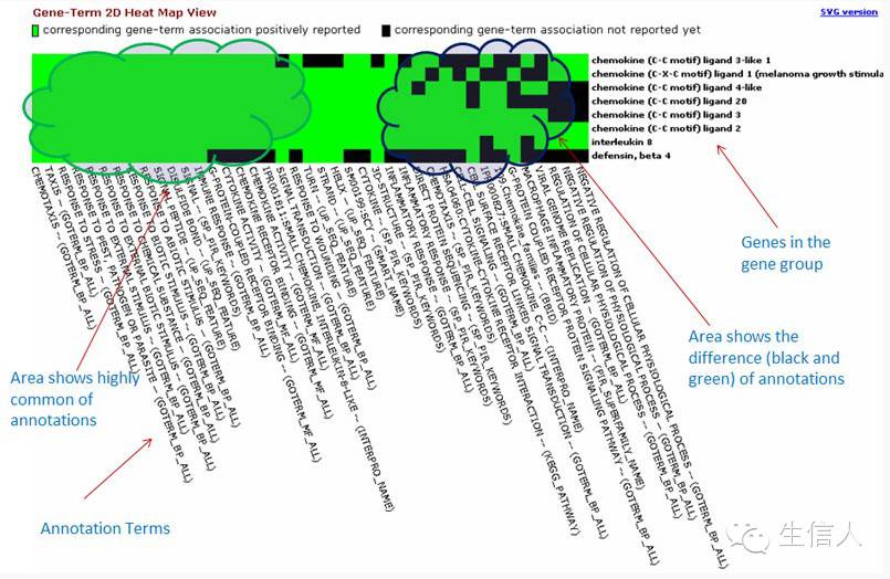 如何利用DAVID做富集分析