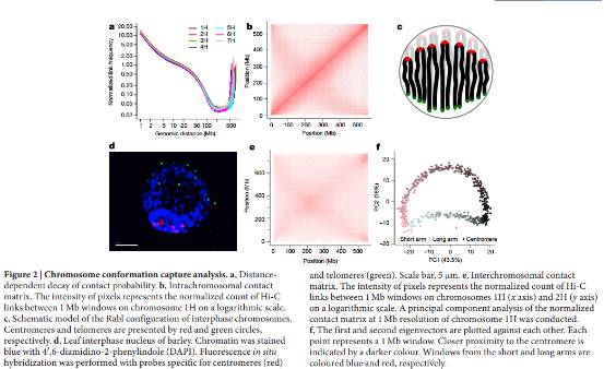 2017年４月２7日Nature封面文章