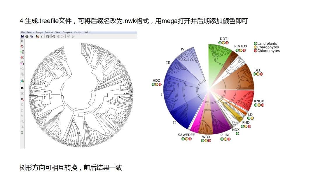 如何从基因进化角度发高分SCI?