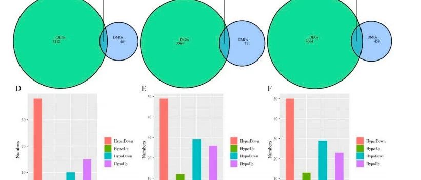 6+|NSCLC-多组学EGFR野生型PD-1分析