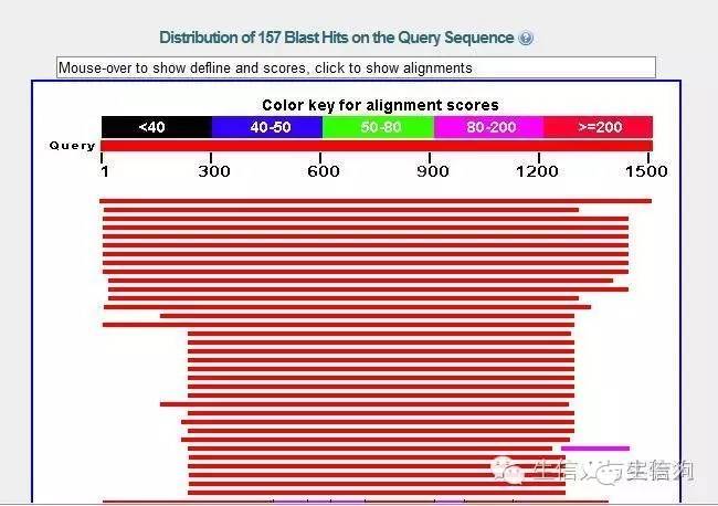 NCBI在线BLAST用法详解