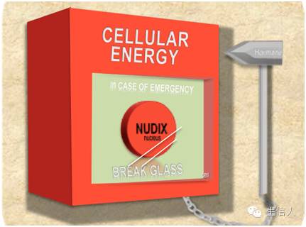 6月Science期刊精华