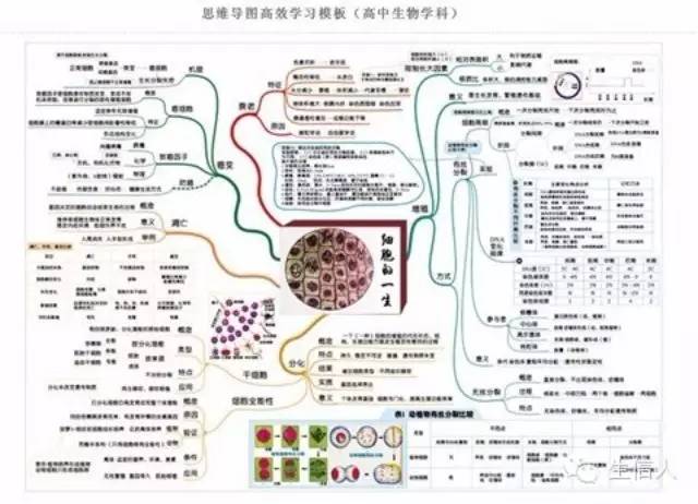 高中生物知识，躺枪中？