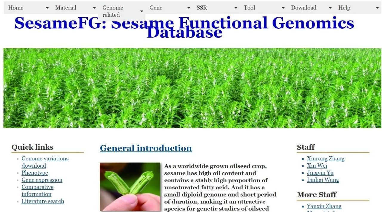 SesameFG：芝麻功能基因组学的综合数据库