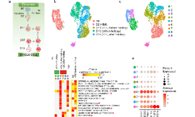 Nature子刊：单细胞视角下的肿瘤耐药性