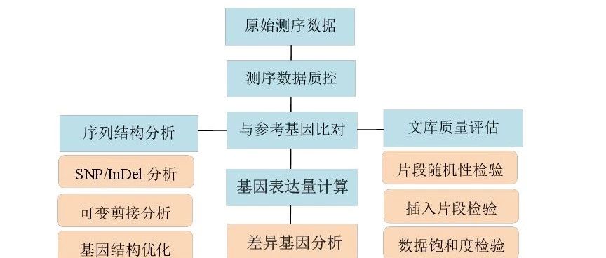 小鬼的转录组测序分析专题（五）-数据下载