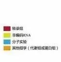 【高分文章秘籍】大样本（全）转录组剑指高分文章