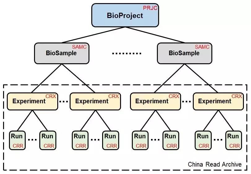 解读丨中国的SRA数据库GSA：原始数据下载与上传数据库