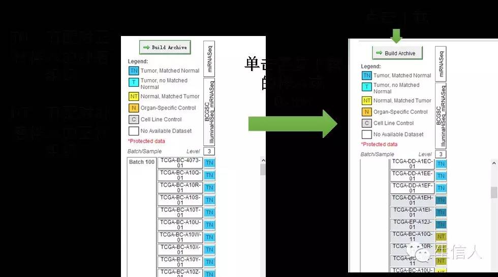 下载TCGA数据的工具