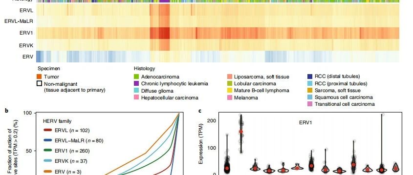 Nature genetics|病毒与癌症