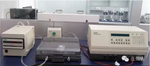 分子生物学之电泳技术简单介绍